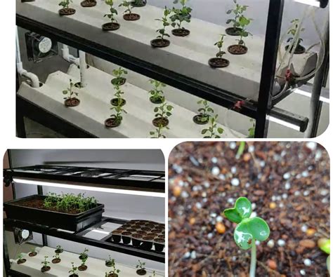 automatic hydroponic grow systems